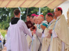 IMG_4528